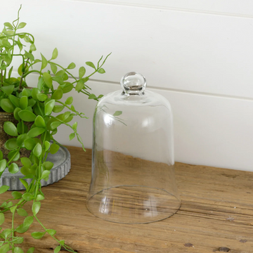 Small Glass Cloche