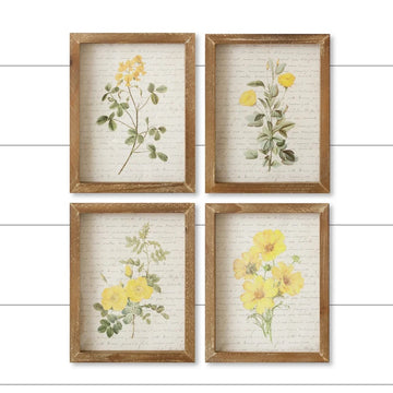 Set of Four Framed Yellow Flower Prints