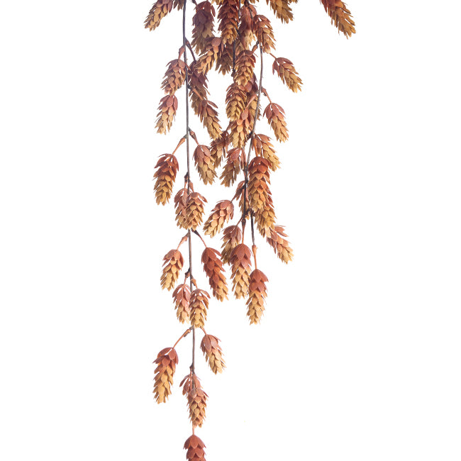 Fall Hops Hanging Bush